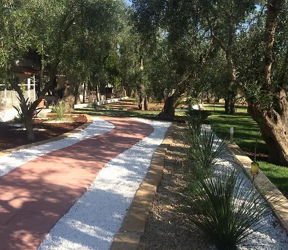 Apollo マッティナータ