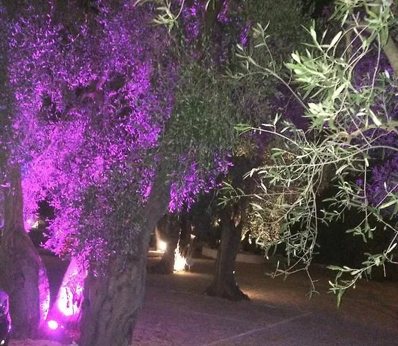 Apollo 別荘 マッティナータ