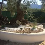Дом отдыха Apollo