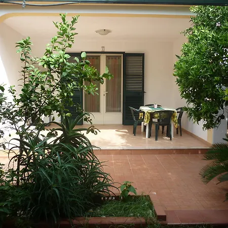 Apollo Маттината