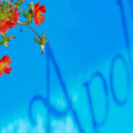 Apollo Casa vacanze *