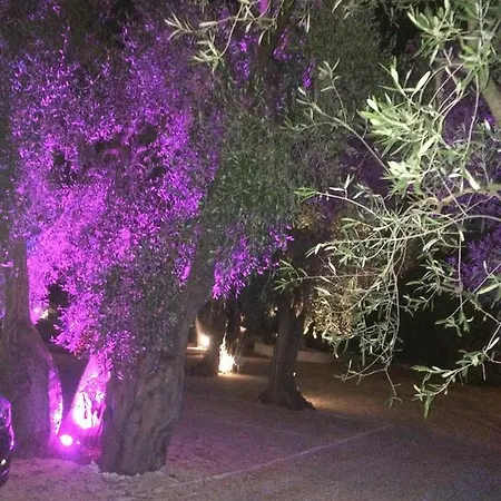 Apollo Nyaraló Mattinata