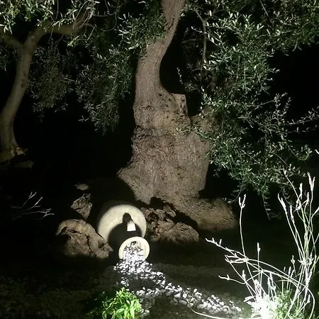 Apollo Дом отдыха