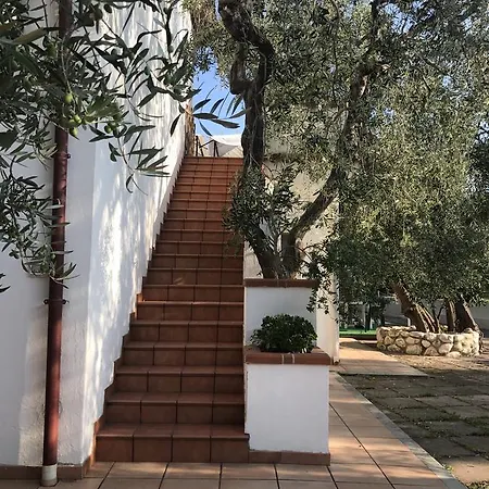 Tatil Evi Apollo *