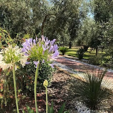 Hébergement de vacances Apollo *