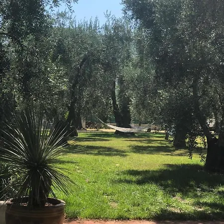 Apollo Hébergement de vacances *