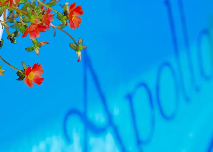 Apollo Casa vacanze *