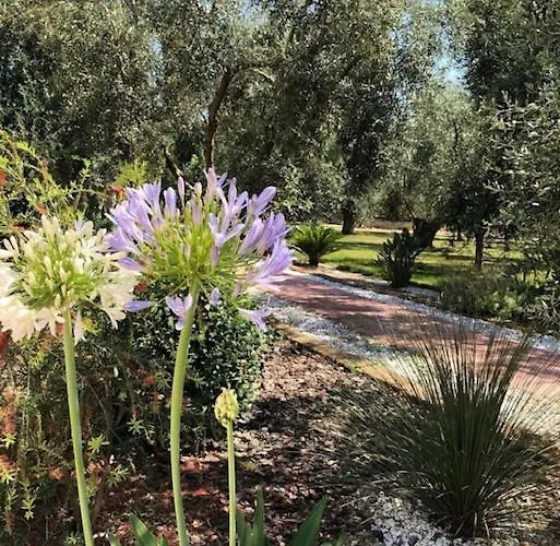 Casa vacanze Apollo *